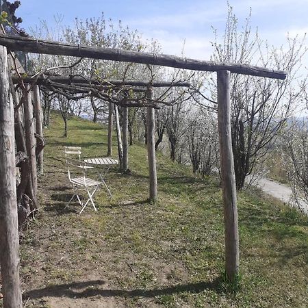 Casa Nebieu In Edificio Indipendente Nel Centro Di Monforte Монфорте-д'Альба Экстерьер фото